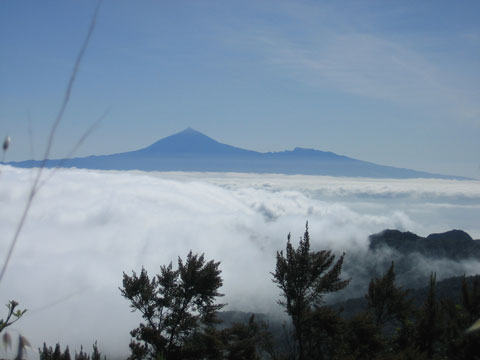 Blick auf den Teide auf der Nachbarinsel Teneriffa