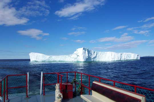 Eisberg bei Twillingate