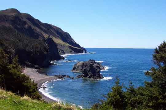 Der "Green Garden" im Gros Morne National Park
