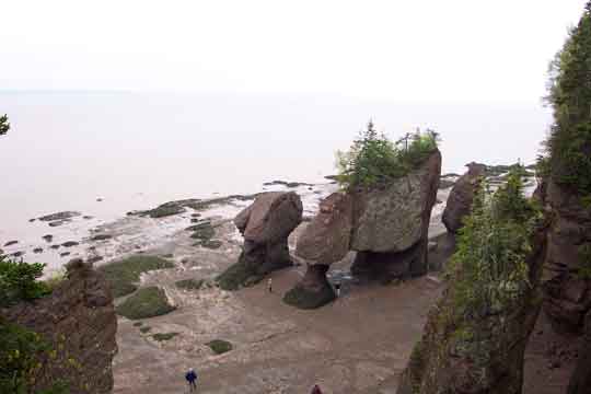 Flowerpot Rocks bei Ebbe