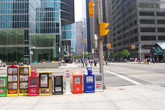 (Blätter)wald von Toronto