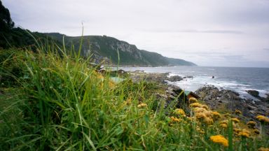 Tsitsikamma Naturreservat